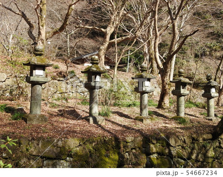 談山神社 談山神社 54667234