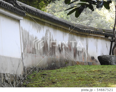 石上神宮 54667521