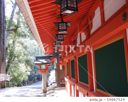 石上神宮 54667524