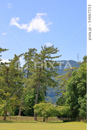 関ヶ原の徳川家康最後陣地跡付近 関ヶ原の徳川家康最後陣地跡付近 54667553