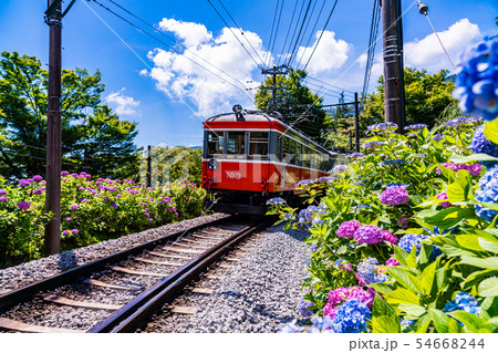 (神奈川県)箱根登山鉄道 あじさい電車 (神奈川県)箱根登山鉄道 あじさい電車 54668244