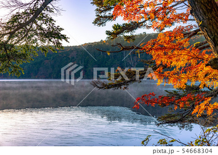 秋の白駒の池 朝焼け 【長野県】 秋の白駒の池 朝焼け 【長野県】 54668304