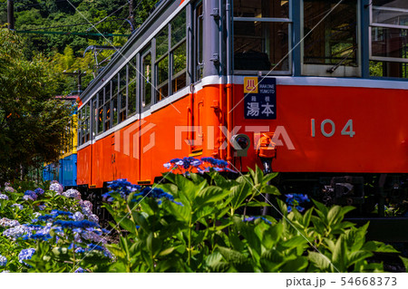 （神奈川県）箱根登山鉄道　あじさい電車 54668373