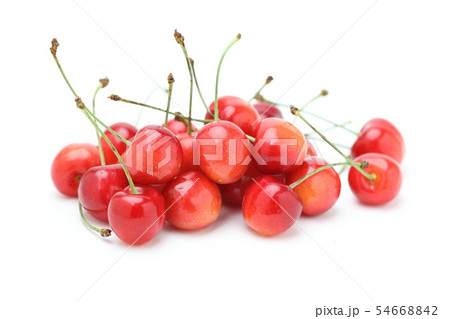 さくらんぼ　佐藤錦 54668842