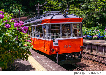 （神奈川県）箱根登山鉄道　あじさい電車　塔ノ沢駅 54669246