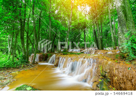 Waterfall in Tropical Rain forest Waterfall in Tropical Rain forest 54669418