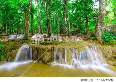 Waterfall in Tropical Rain forest 54669420