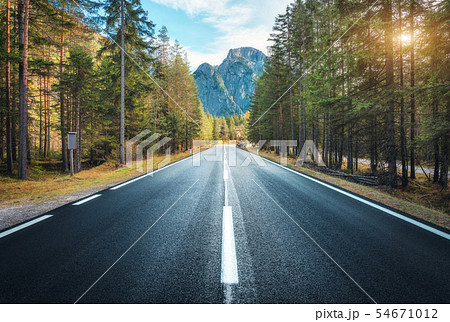 Road in summer forest at sunset in Italy. Mountain Road in summer forest at sunset in Italy. Mountain 54671012