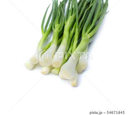 green onions or scallions placed on white 54671845