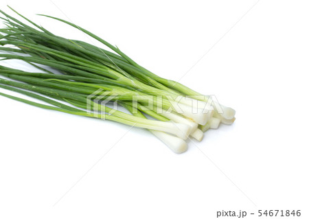 green onions or scallions placed on white 54671846