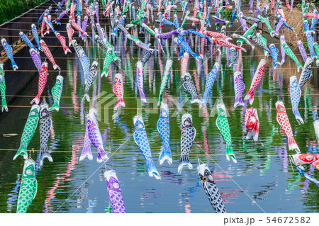 館林こいのぼりの里祭り 館林市 館林こいのぼりの里祭り 館林市 54672582