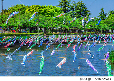 館林こいのぼりの里祭り 館林市 館林こいのぼりの里祭り 館林市 54672583