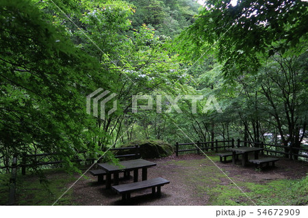 緑の休憩所 54672909