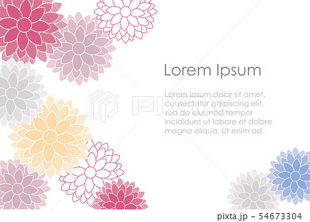 菊紋の年賀状テンプレート 54673304