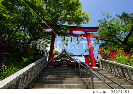 高尾山薬王院の本社へ続く階段と鳥居 高尾山薬王院の本社へ続く階段と鳥居 54673403