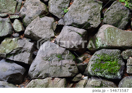 街景色 東京 丸の内 街景色 東京 丸の内 54673587