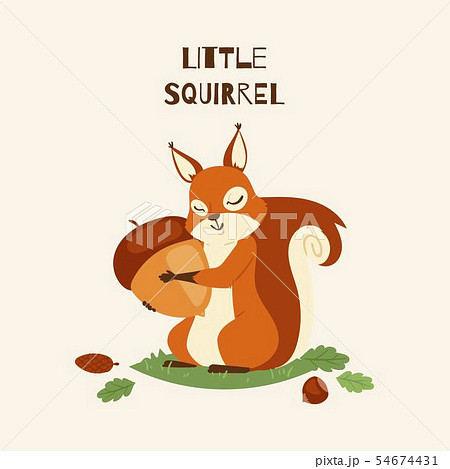 Squirrel little hugging acorn and standing on grass in forest banner vector illustration. Loving Squirrel little hugging acorn and standing on grass in forest banner vector illustration. Loving 54674431