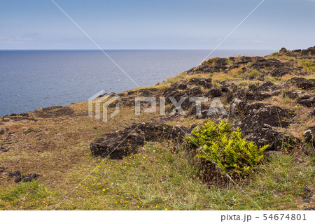 Shore in the north of Sao Miguel, Azores 54674801