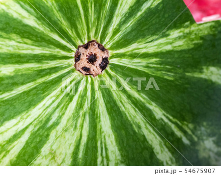 Ripe watermelon. Watermelon peel background. 54675907
