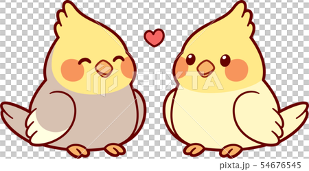 Cute cartoon cockatiel couple 54676545