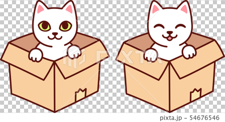 Cat in cardboard box 54676546