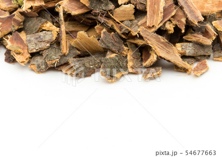 セイヨウイソノキ樹皮、バックソーンバーク: Buckthorn bark 54677663