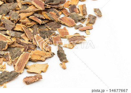 セイヨウイソノキ樹皮、バックソーンバーク: Buckthorn bark 54677667