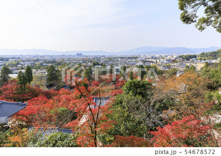 京都・秋・永観堂の紅葉 54678572
