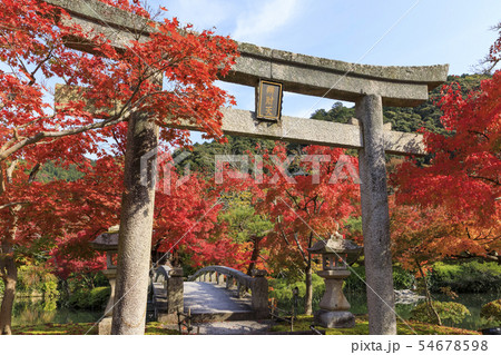京都・秋・永観堂の紅葉 京都・秋・永観堂の紅葉 54678598