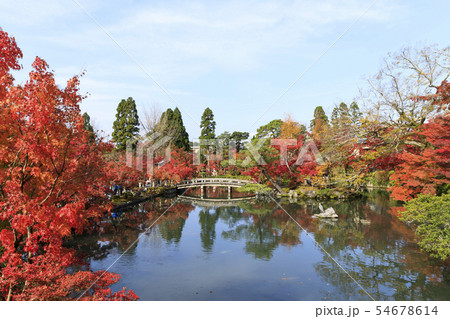 京都・秋・永観堂の紅葉 54678614