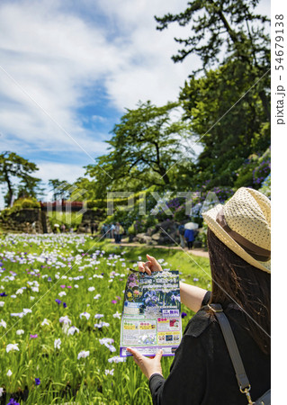 【花菖蒲　紫陽花　小田原城】 54679138