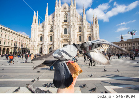 Travel, Italy and birds concept - Funny pigeons eats by hand in front of Duomo cathedral, Milan Travel, Italy and birds concept - Funny pigeons eats by hand in front of Duomo cathedral, Milan 54679694