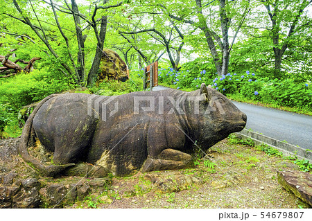 牛臥山の牛 54679807