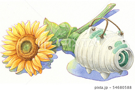 日本の年中行事イラスト 8月 豚蚊遣りと向日葵のイラスト素材 54680588 Pixta
