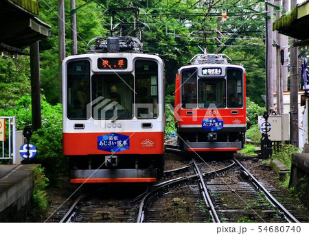 紫陽花の季節…梅雨に濡れる箱根登山鉄道 54680740