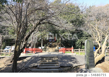 さいたま市緑区の氷川女体神社 54680755