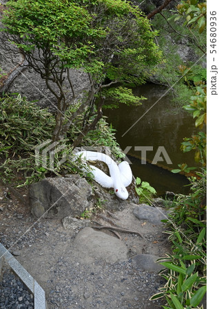 大谷寺(栃木県)弁天堂 大谷寺(栃木県)弁天堂 54680936