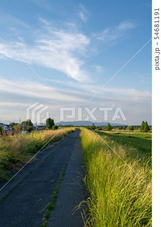 渡瀬瀬遊水地　 54681191