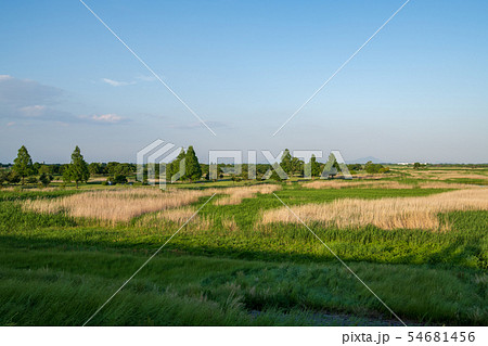 渡瀬瀬遊水地　 54681456