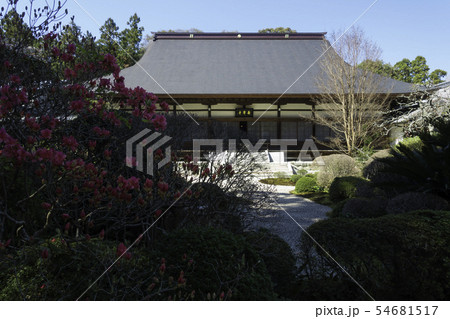 [静岡県]　龍潭寺　春期 54681517