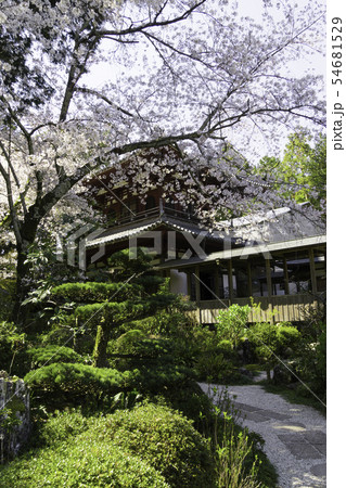 [静岡県]　龍潭寺　春期 54681529