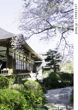 [静岡県]　龍潭寺　春期 54681547