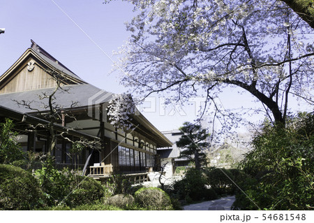 [静岡県]　龍潭寺　春期 54681548