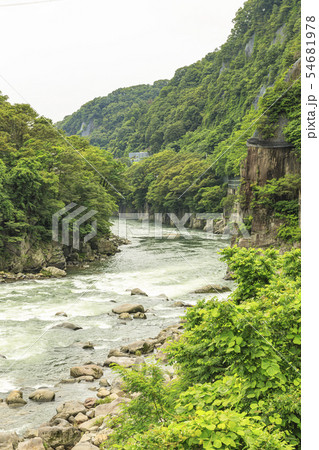 利根川　綾戸 54681978