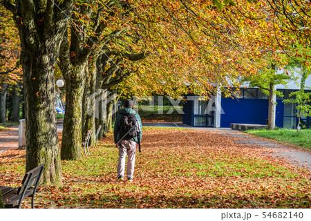 People on autumn road with many trees People on autumn road with many trees 54682140