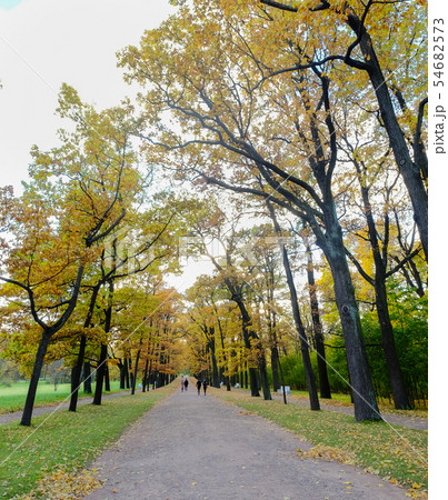 Autumn park in St Petersburg, Russia Autumn park in St Petersburg, Russia 54682573