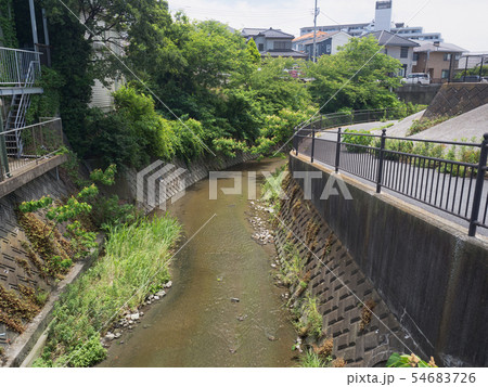 神奈川県　野比川 54683726