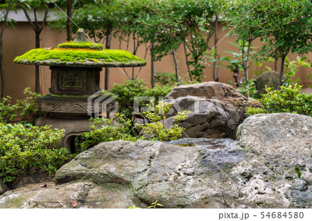 日本文化 新緑の境内 寺 イメージ 日本文化 新緑の境内 寺 イメージ 54684580