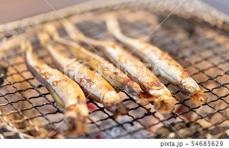 子持ちシシャモ(カペリン)･BBQ･bbq･炭火焼･網焼･備長炭･七輪･キャンプ･食事･食べ物･炭 54685629