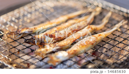 子持ちシシャモ(カペリン)・BBQ・bbq・炭火焼・網焼・備長炭・七輪・キャンプ・食事・食べ物・炭 子持ちシシャモ(カペリン)・BBQ・bbq・炭火焼・網焼・備長炭・七輪・キャンプ・食事・食べ物・炭 54685630